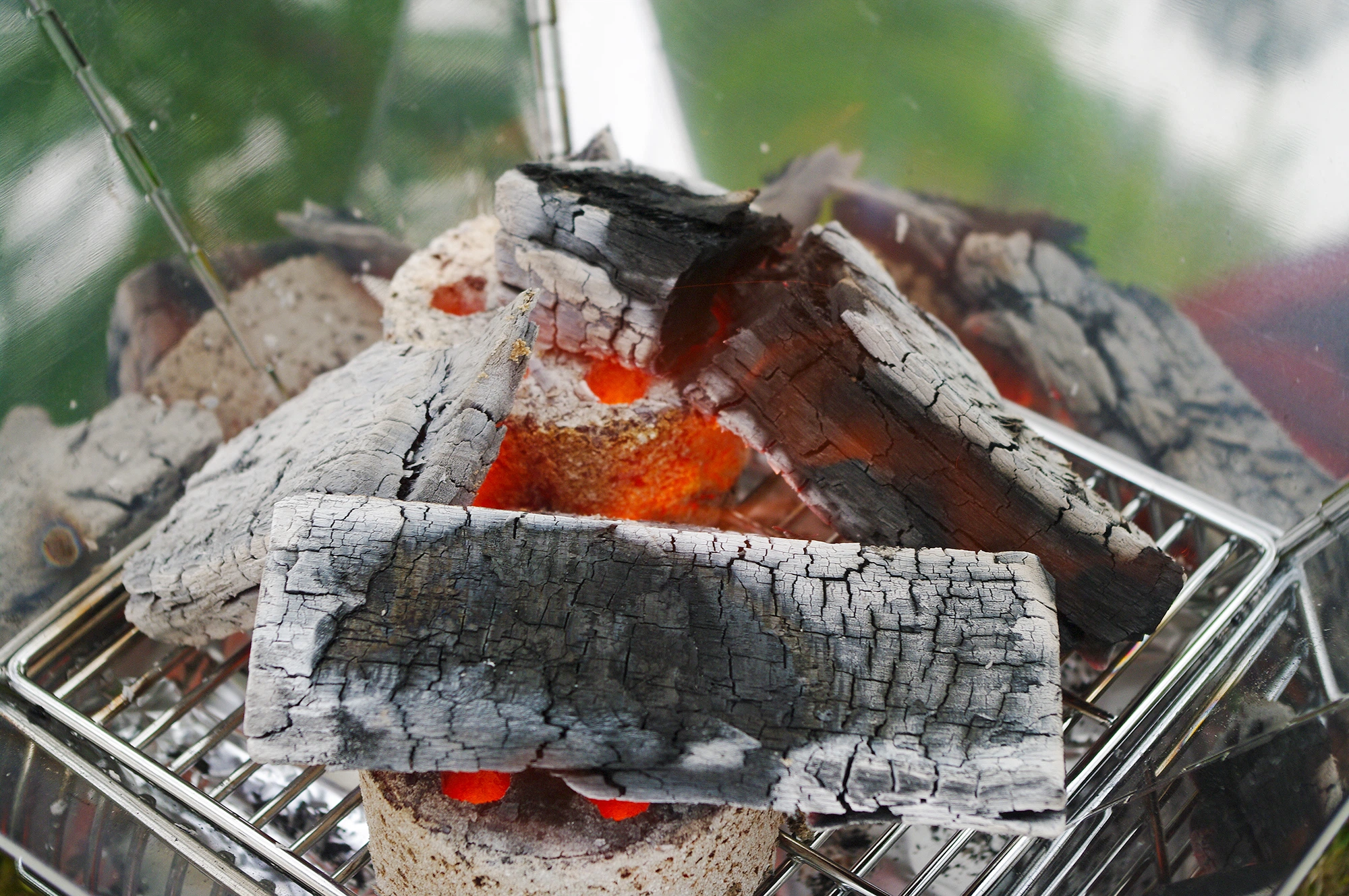 キャンプ&BBQ場のサイト風景